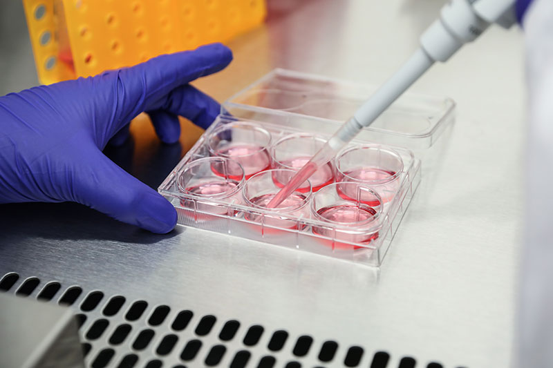 Science in lab